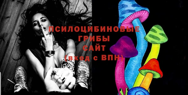MDMA Premium VHQ Ладушкин