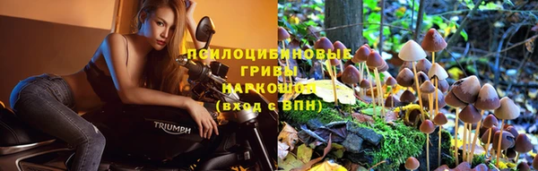 сатива Лиски